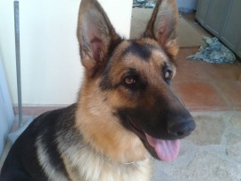 Kira